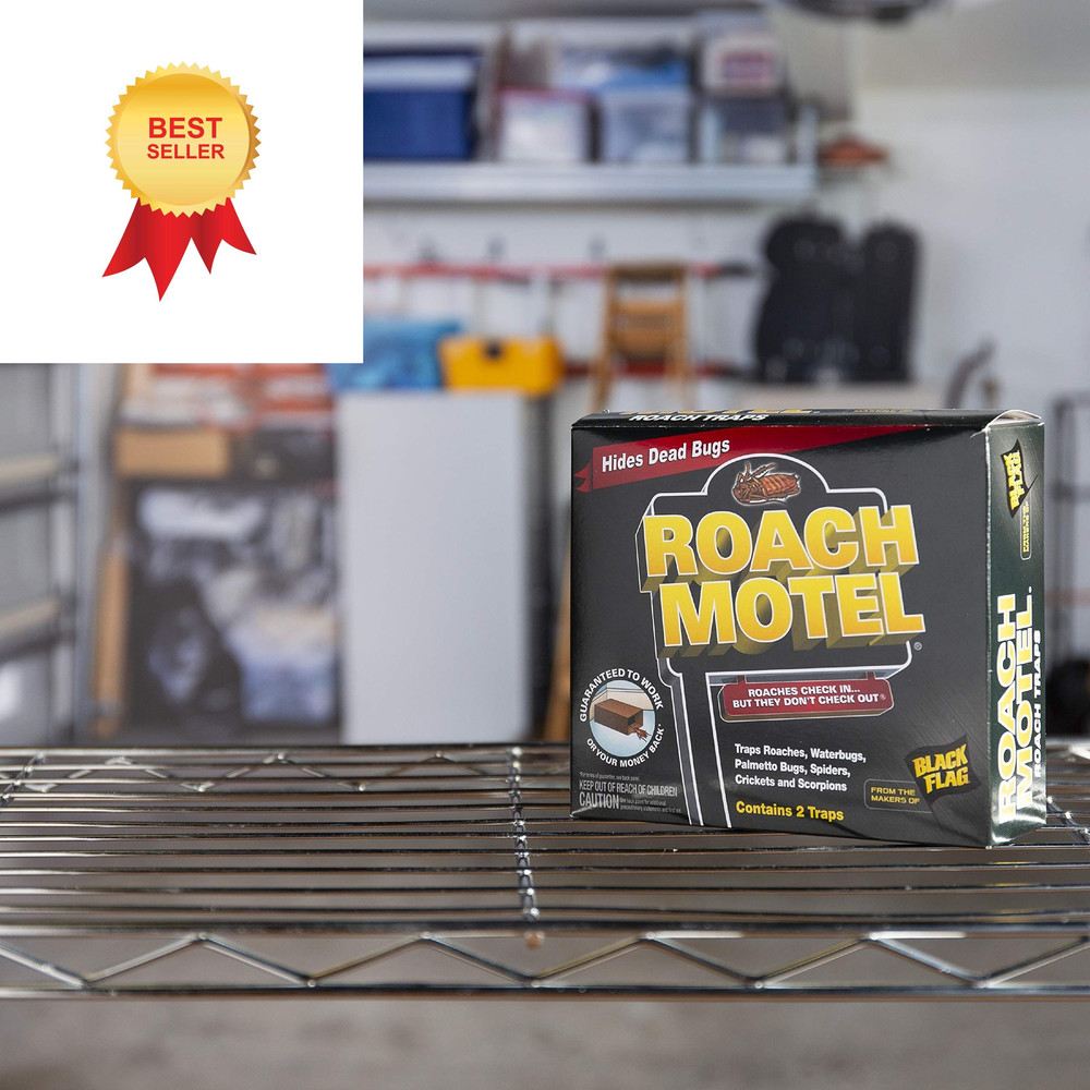 Black Flag Roach Motel Traps, 2-Count, 1-Pack 1 Pack,