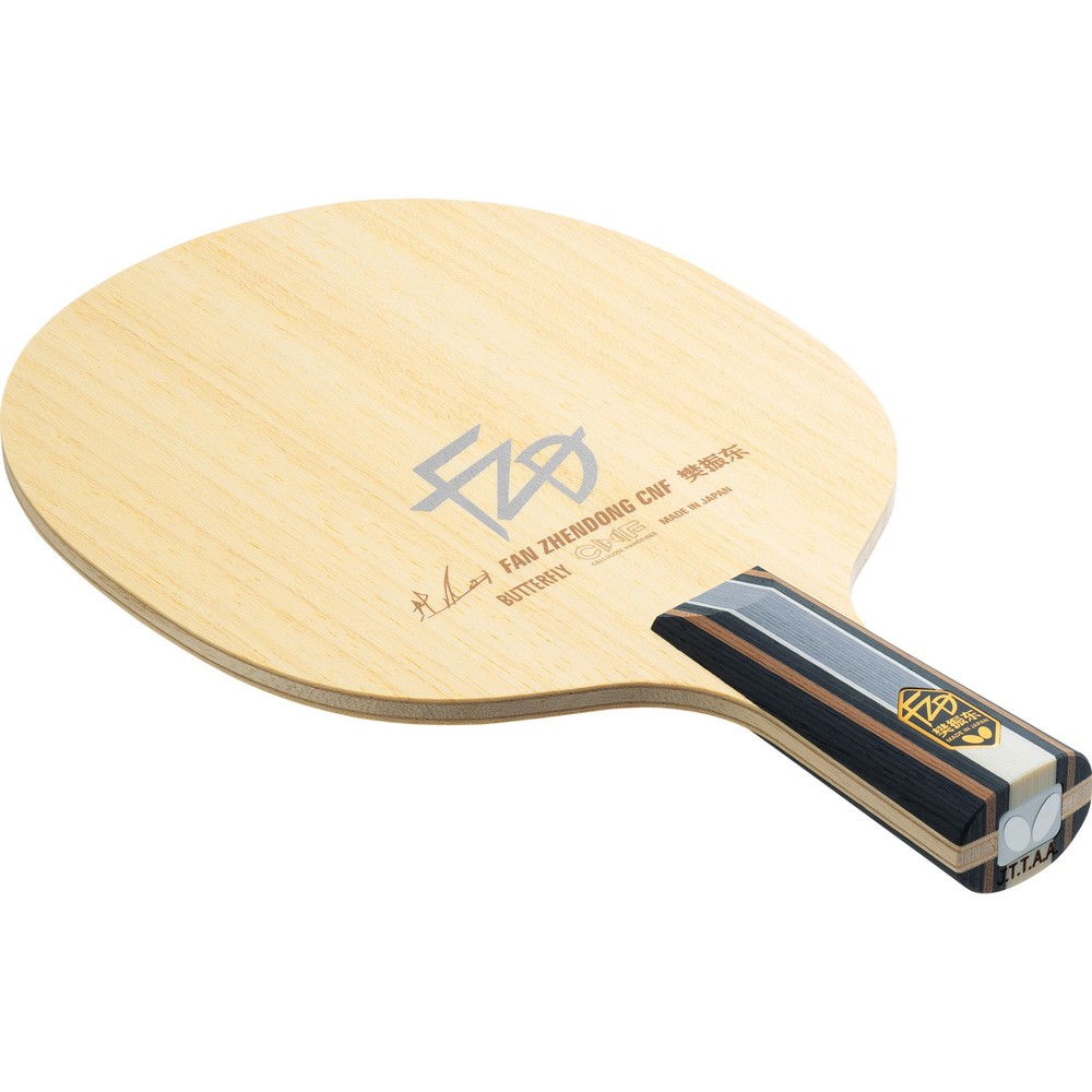 Fan Zhendong CNF CS