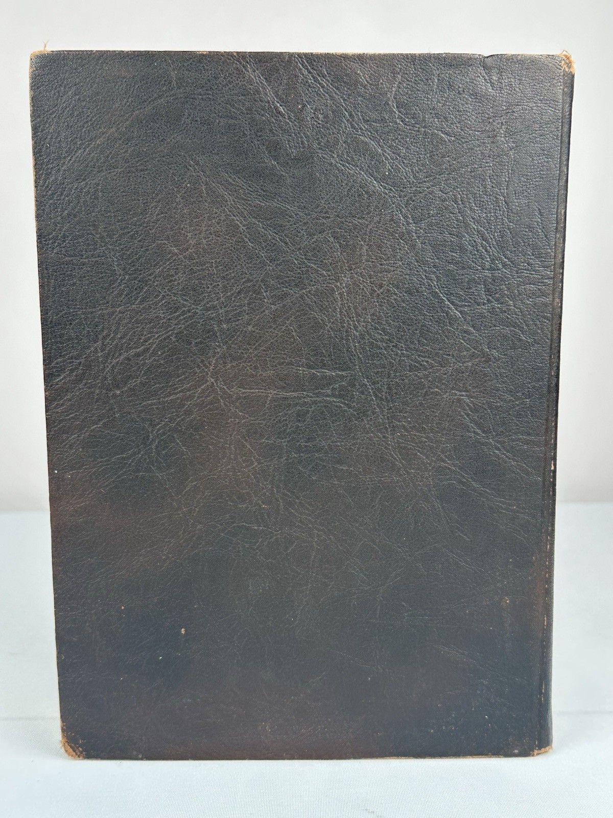 Livingston County Illinois Pontiac Fairbury Streator Cornell IL WWI History Book