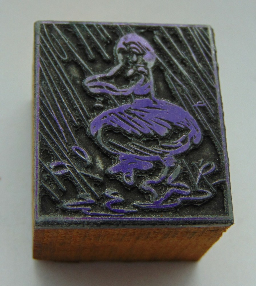 Printing Letterpress Printers Block Duck In Rain