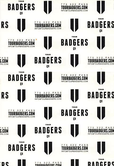 27th Annual Bridge School Benefit Backstage Pass Mountain View 2013 Green VIP...