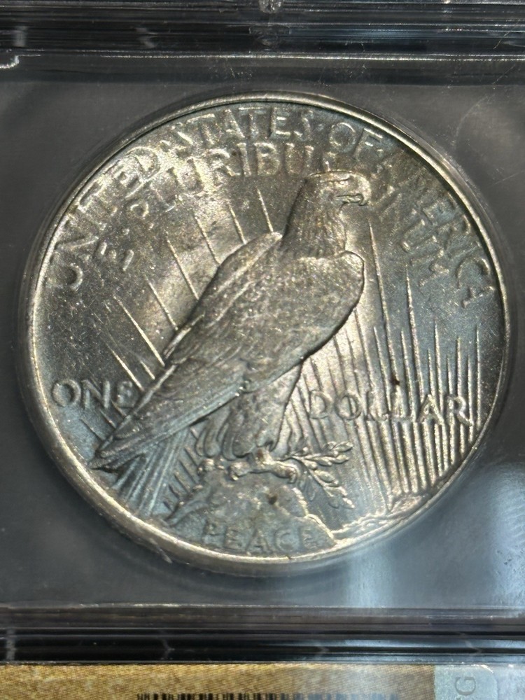1926 Peace Dollar $1 ICG MS62