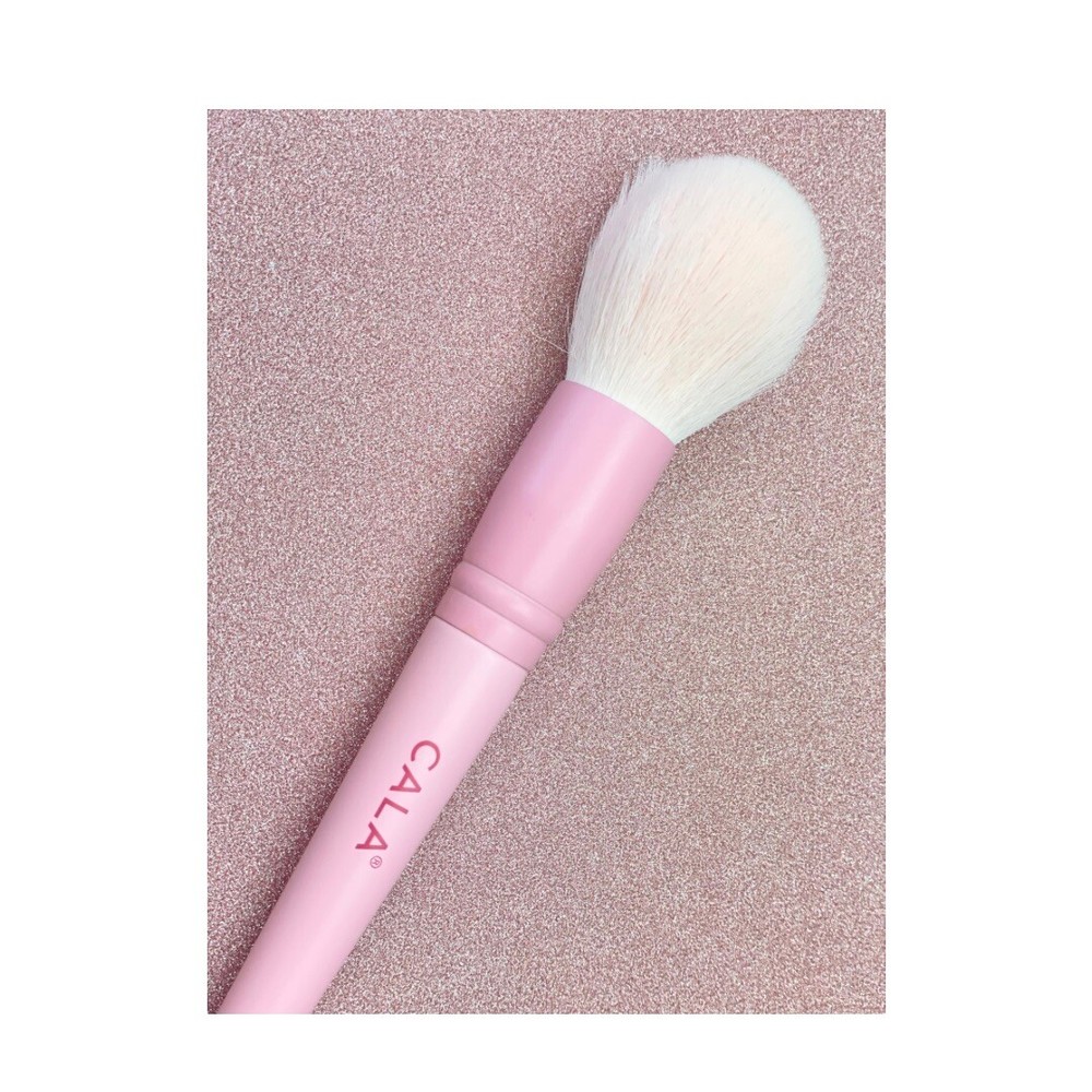 Pretty In Pink Brush Set