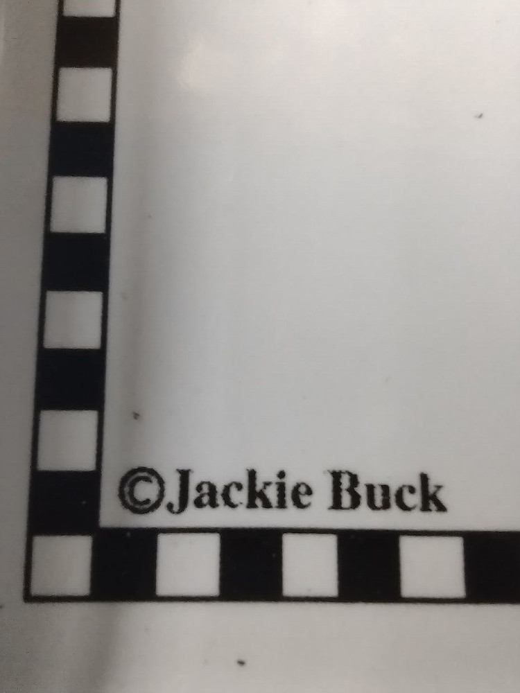 Ceramic Rooster Rectangular Bread Serving Tray Dish