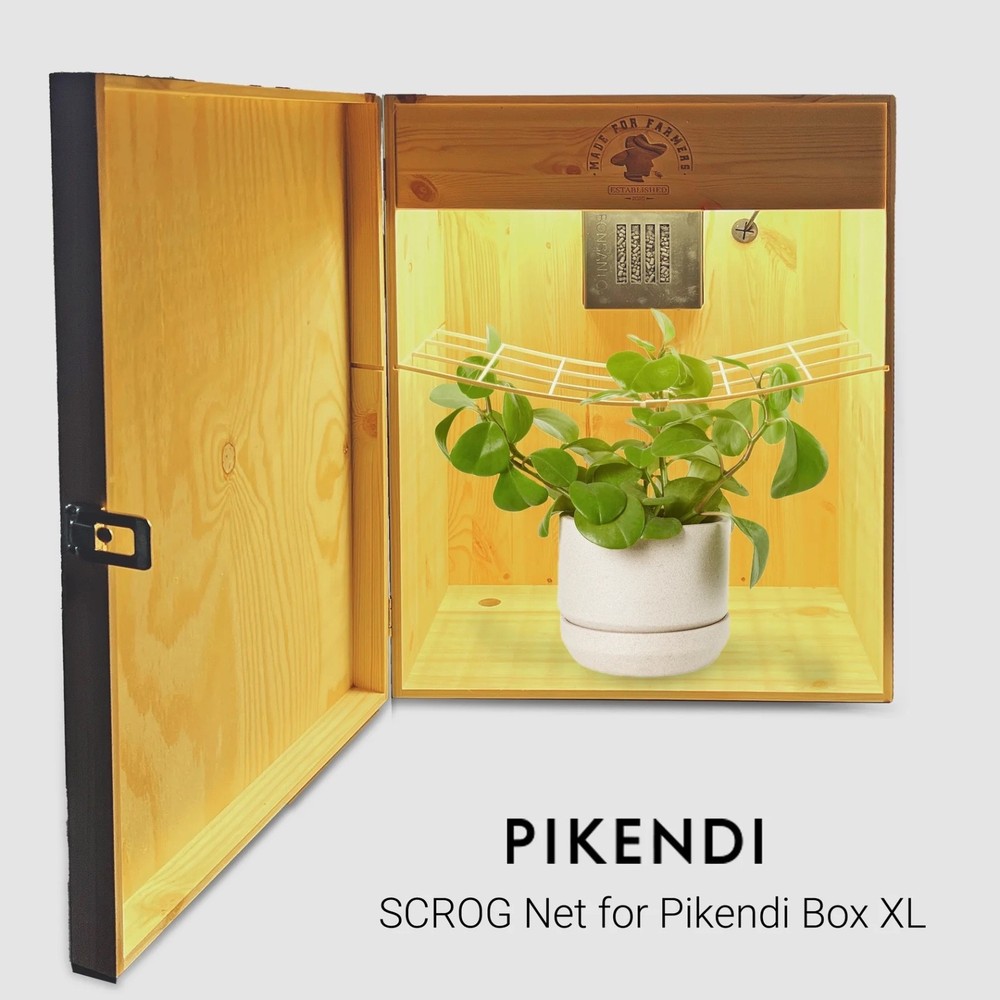 Bonsanto® SCROG Grid XL