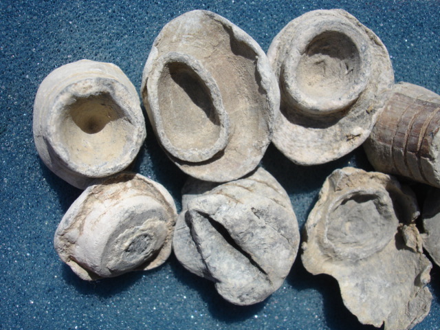 Civil War Relic Direct Hit Bullseye Mushroomed Bullet Chattanooga, Tennessee