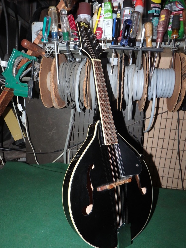Rogue RM-100A A-Style Mandolin - Black