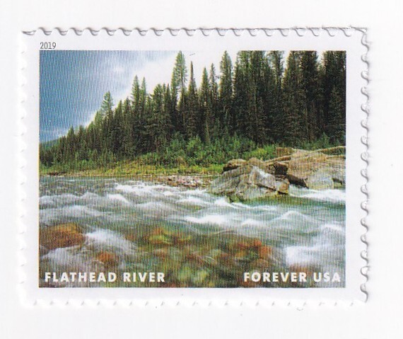 STAMP US SCOTT 5381f "Wild and Scenic Rivers - Flathead River" FOREVER 2019 MNH
