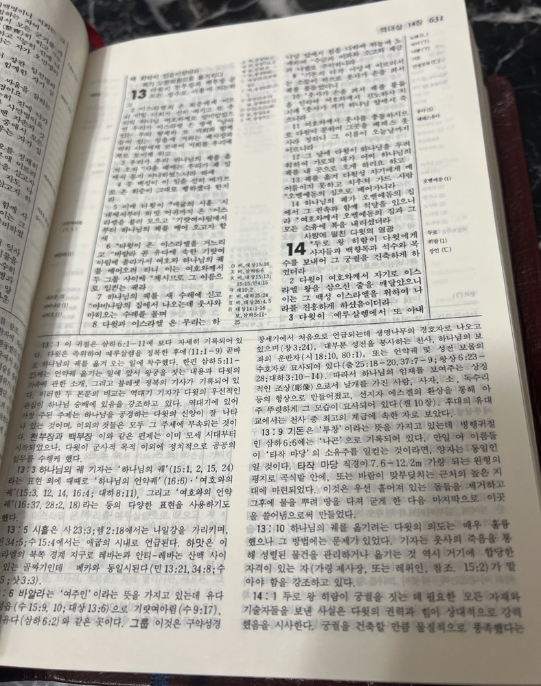 Korean New Thompson Annotated Chain Reference Bible 100th Anniversary Edition