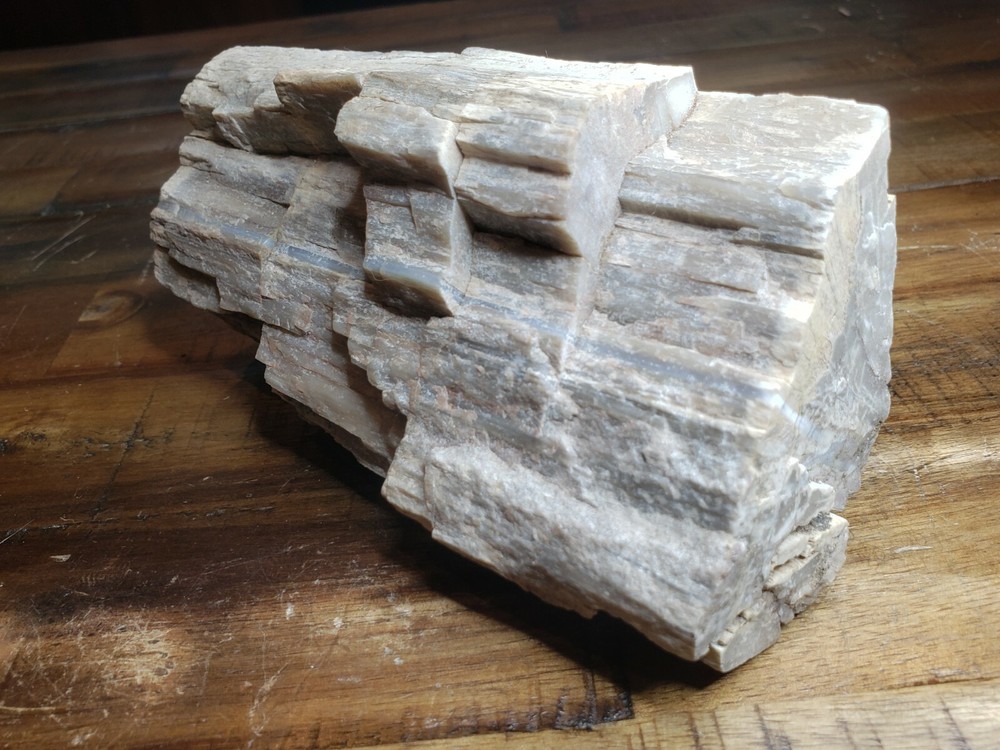 Crystalized Petrified Wood with vien 2.6lbs