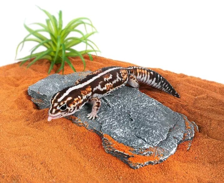 Reptile Hide Out 7 Pcs Stackable Stack Stone Look Resin