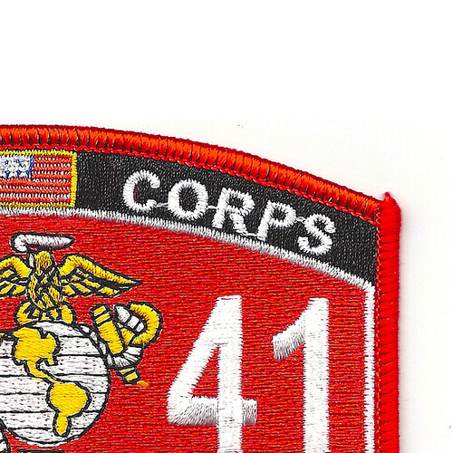 2141 AAV Repairer-Technician Patch