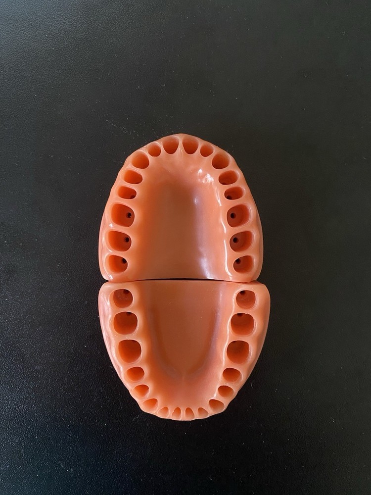 Acadental ModuPRO one replacement Gingiva