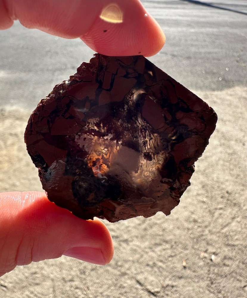 Priday Plume Agate Slice, 25 grams, Thunder-egg, Cabbing/Lapidary