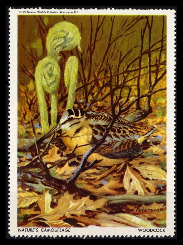 National Wildlife Federation Stamp - 1956 MNH - Woodcock