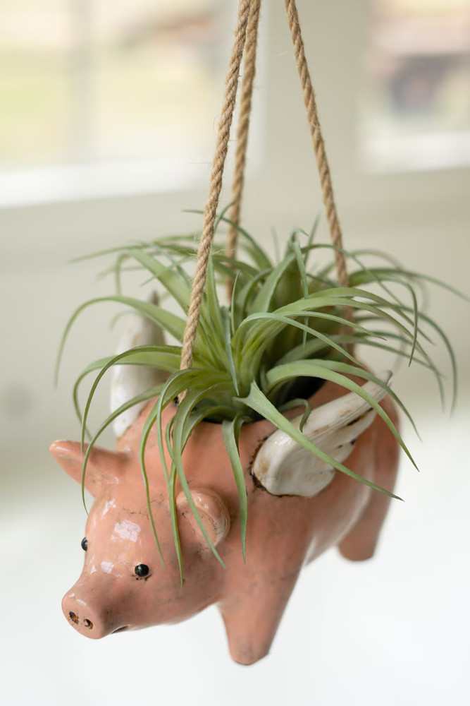 Ceramic Flying Pig Hanging Planter