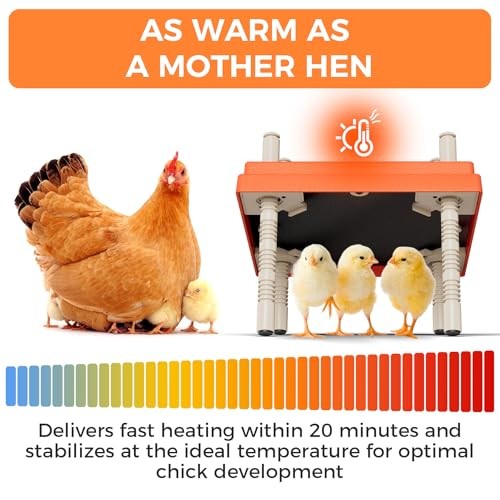 Chick Brooder Heating Plate with Anti-Stand Cone, 10" x 10" Brooder Heater for