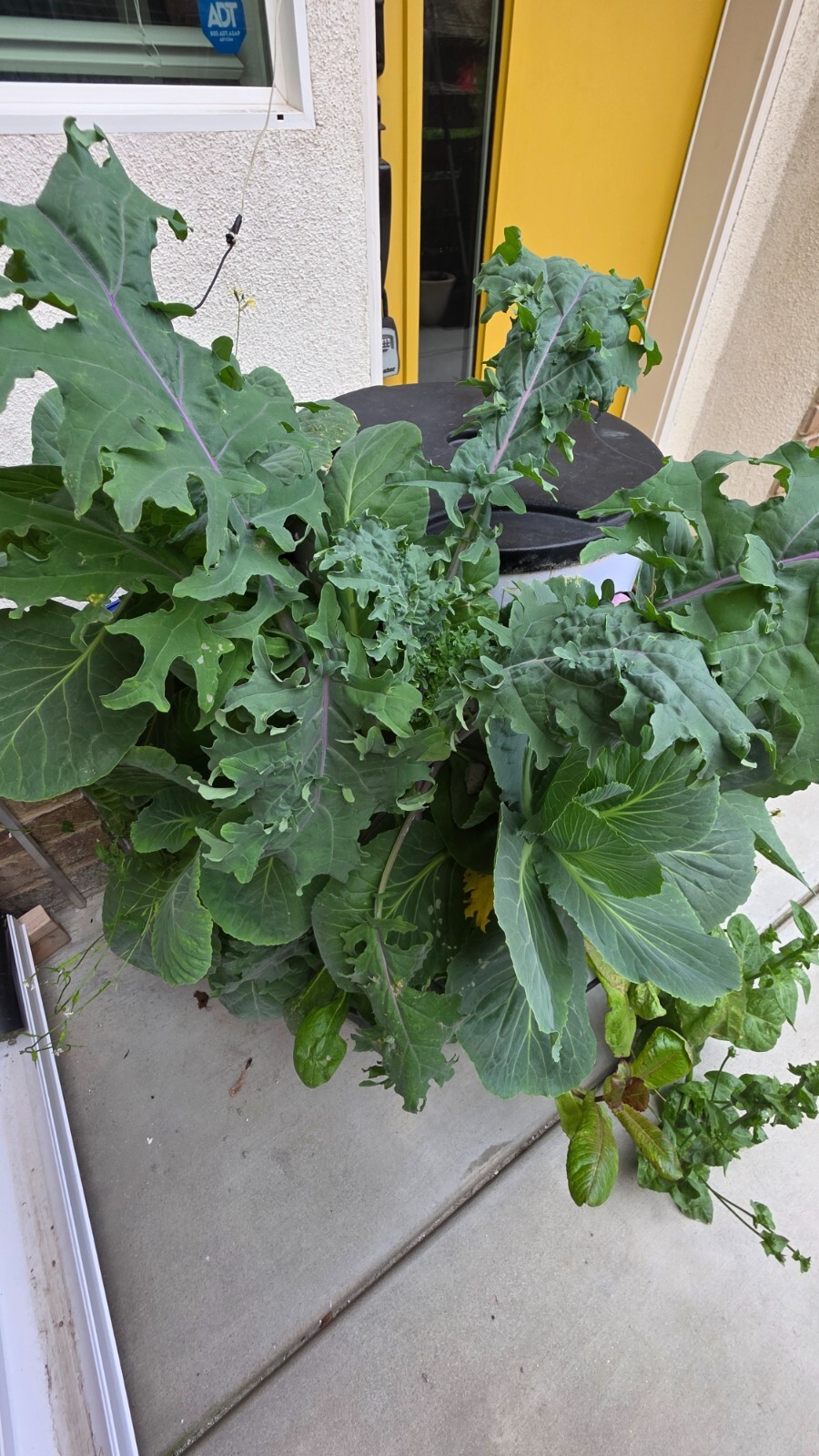 hydroponic vertical tower growing system-2025