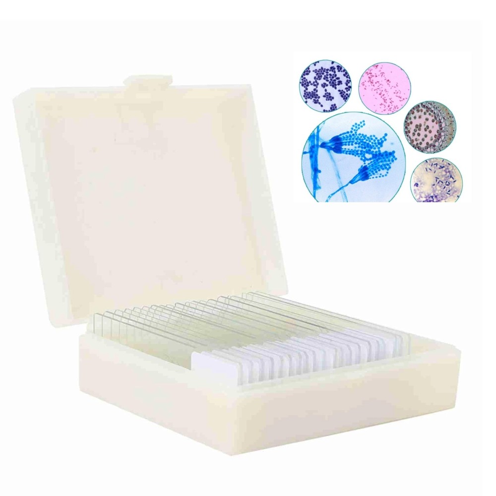 20pcs Microscope Slides Biology And Pathology Prepared Microbiological Bacter...