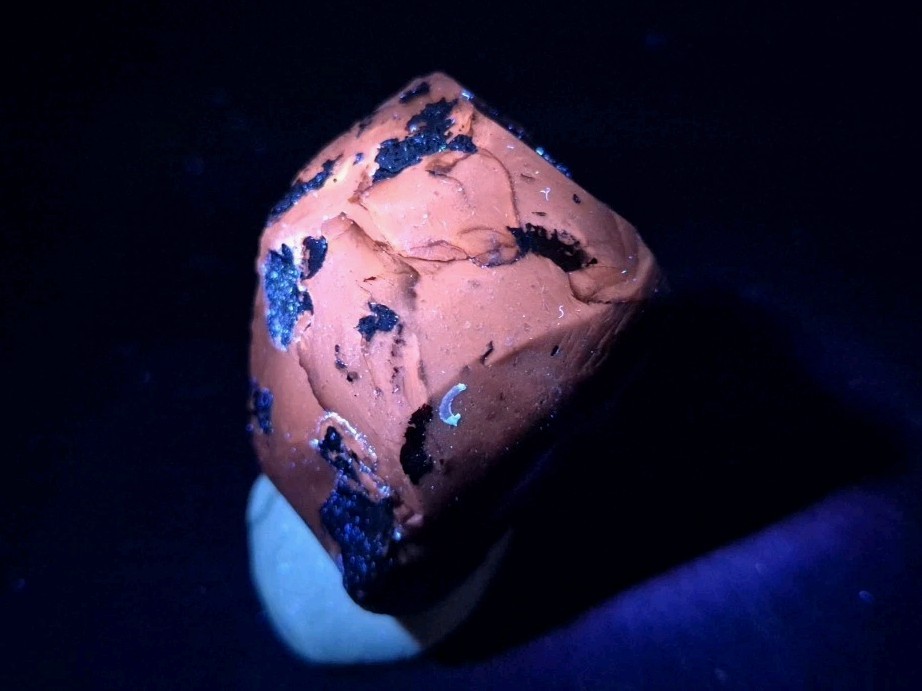 Real Fossil Dinosaur Egg Opalized