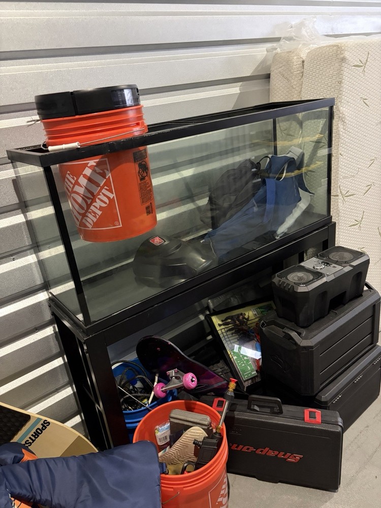 Fish Tank Aquarium
