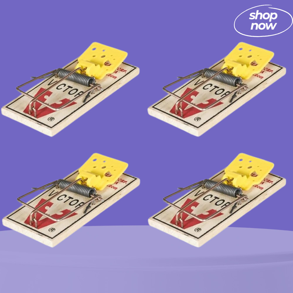 Easy Set Mouse Traps, 2-Pack, - (4 count )