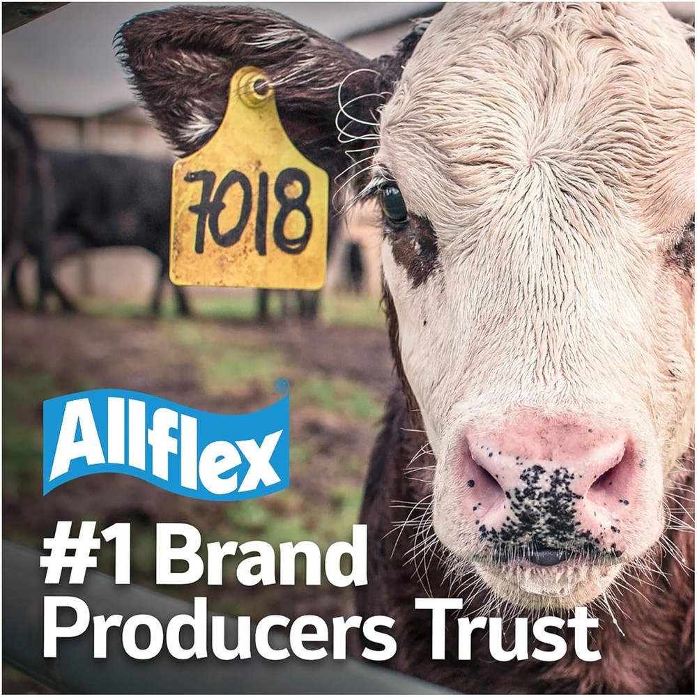 Maxi GLBL TAG GRN BLNK 25'S