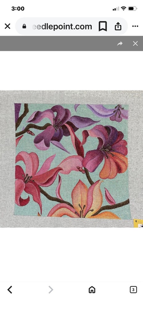SPRING FLORAL HANDPAINTED BY Cindy & Beth CANVAS-STITCH GUIDE