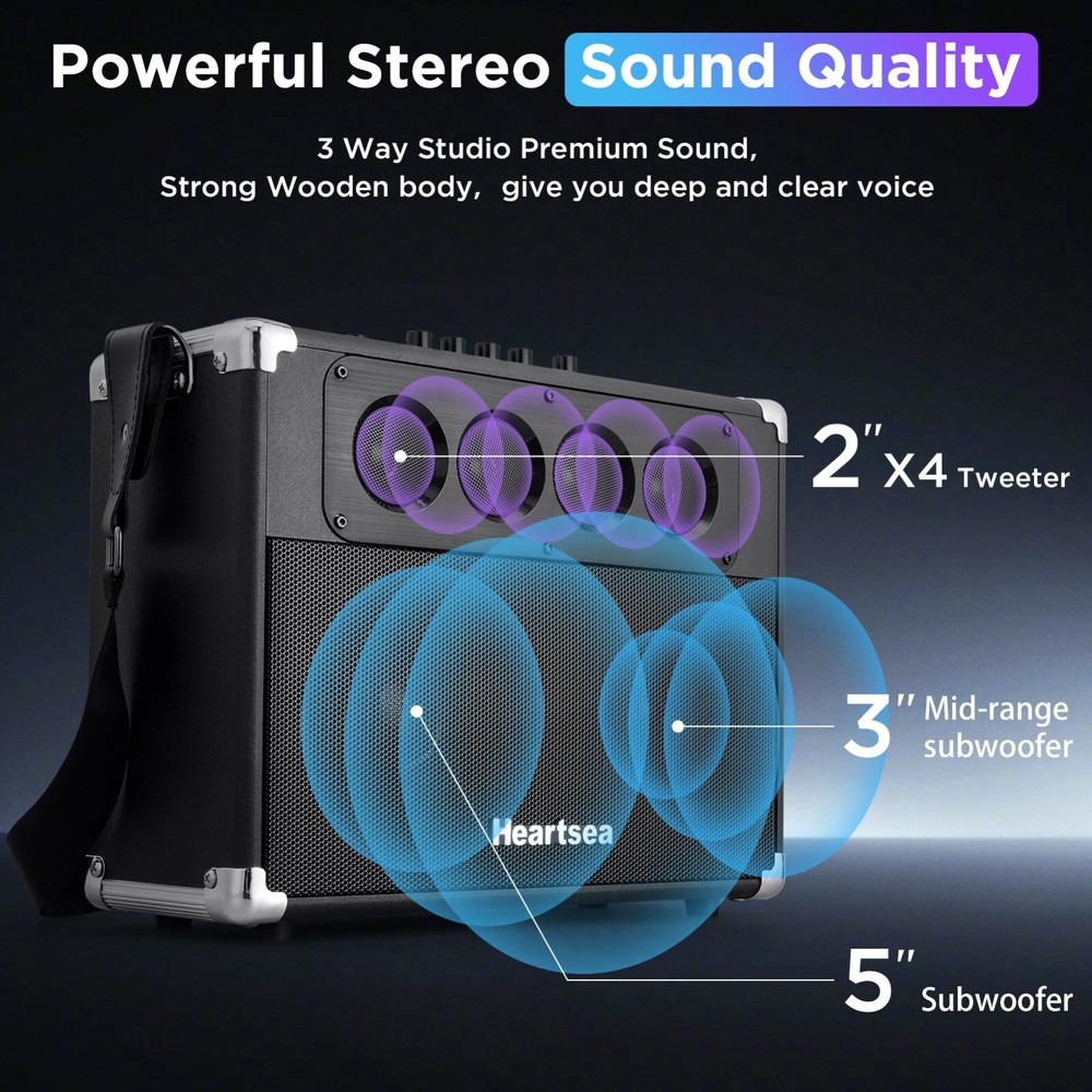 Portable Bluetooth Karaoke Machine with 2 Wireless Microphones
