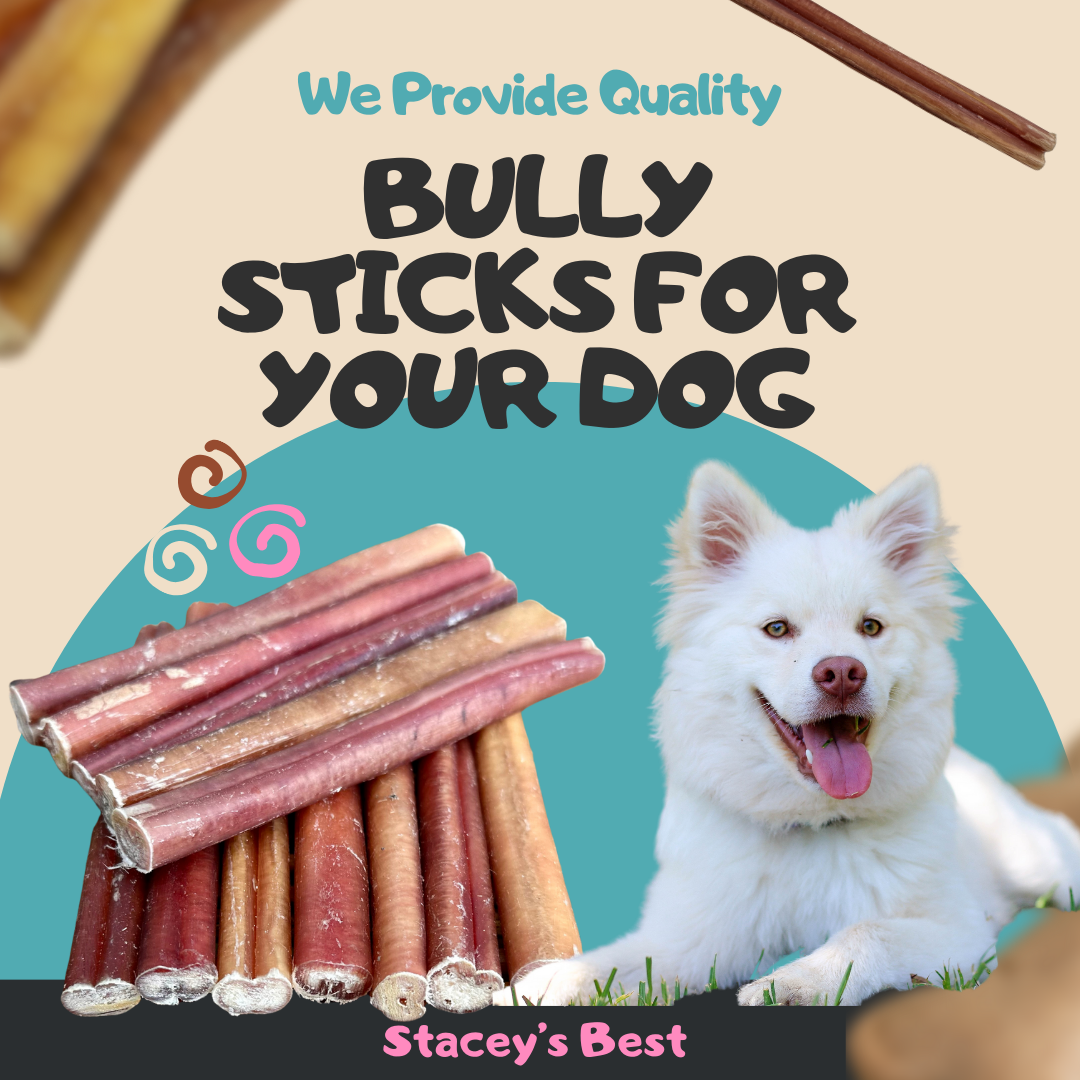 Stacey's Best 6 inch Bully Sticks Dog Chew Excellent Dog Treat (15 Pack)