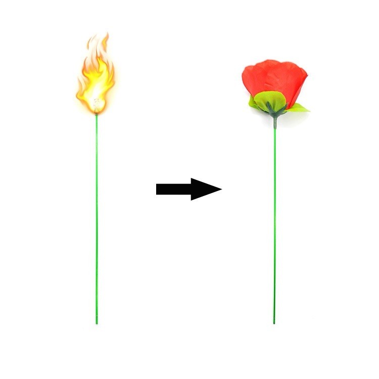 10pcs Fire To Rose Magic Prop