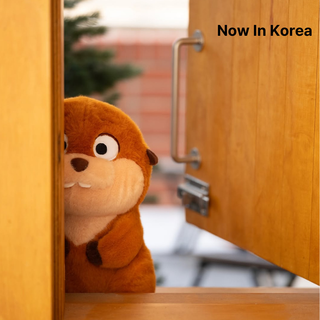 Disney Pixar Hoppers 2026 Movie Official Mabel Plush 25cm 10''from Korea Theater