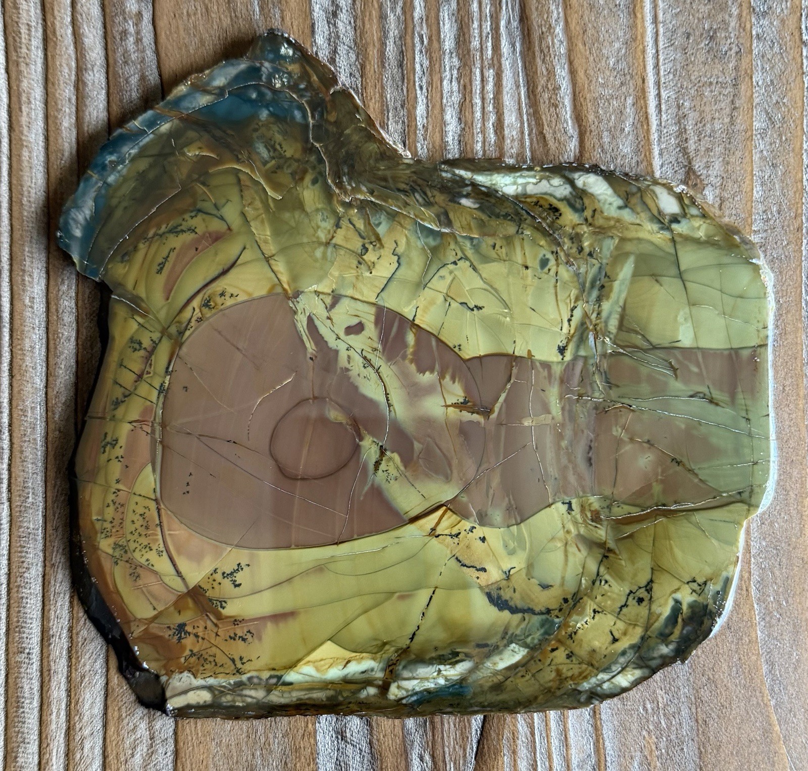 Colorful Morrisonite Jasper Polished Slab Jake’s Place Orby Dendrites Oregon 7oz