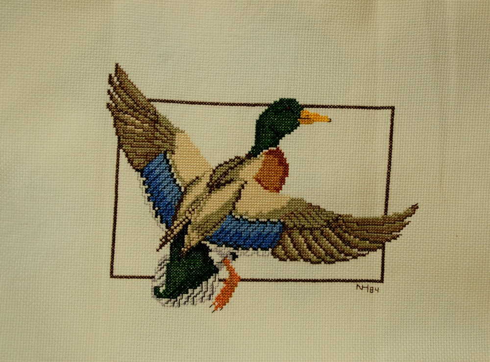 UFO - Flying Mallard