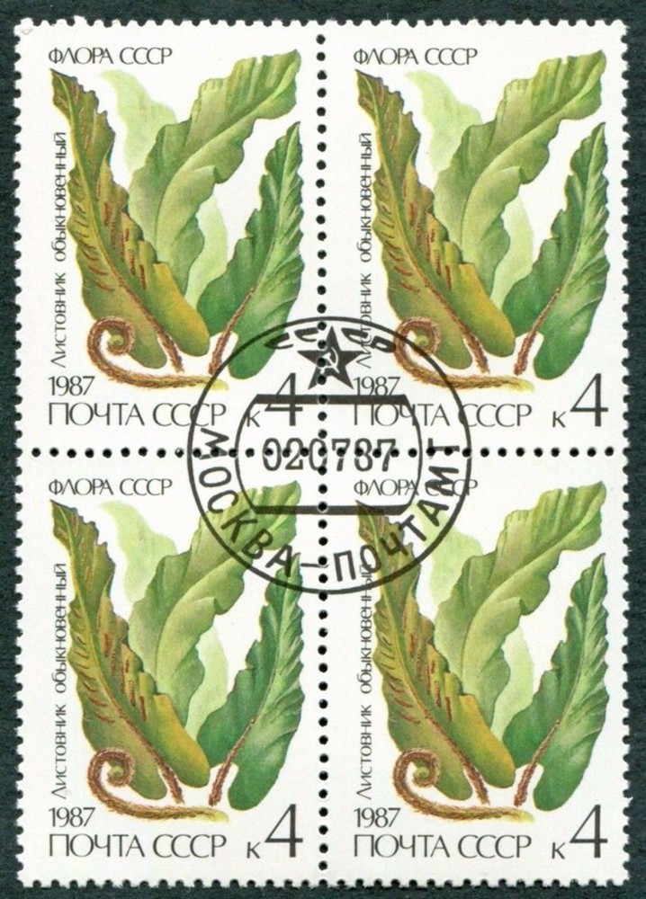 RUSSIA CCCP 1987 4k SG5773 used FG NH Ferns Scolopenidrium vulgare b ##W38