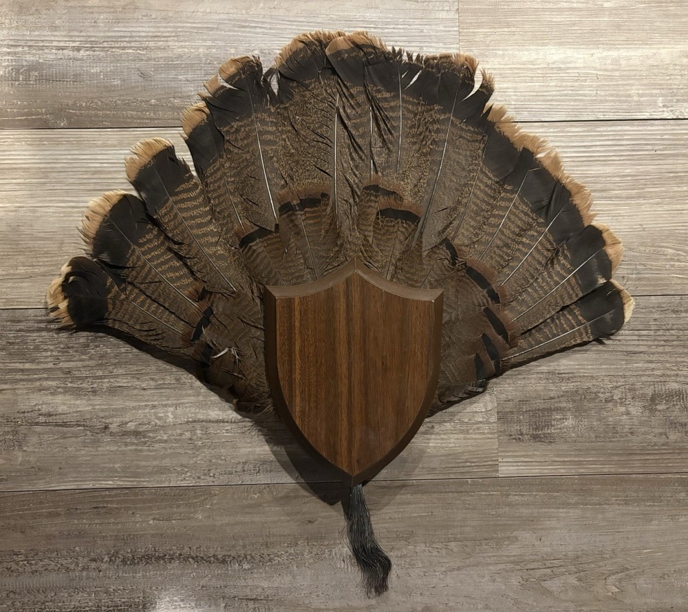 Turkey Tail/Beard Plaque Hardwood