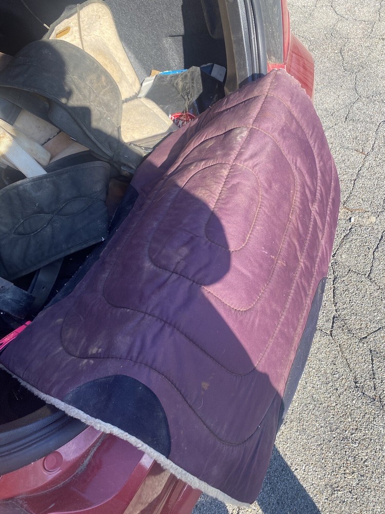 Saddle And Pad
