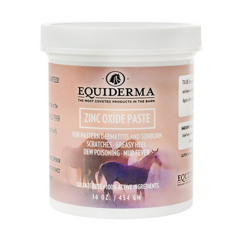 Equiderma Zinc Oxide Paste For Horses 32 Oz
