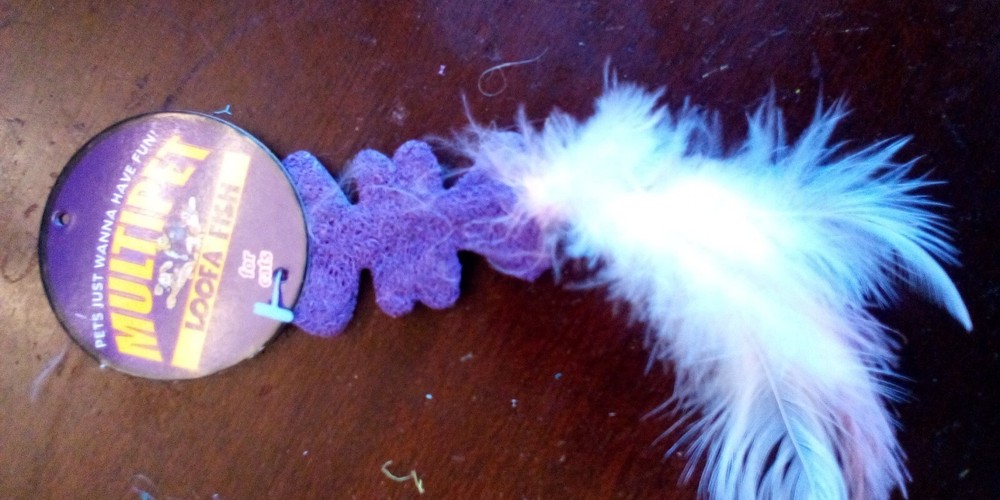 Loofa Fish Cat Toy by Multipet (multiple color options)