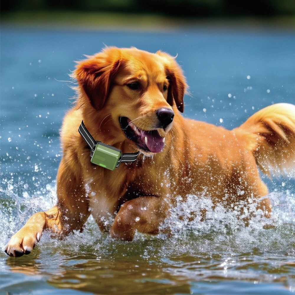 1-2 Dogs Shock Collar 4500FT Dog Training Collar Remote Waterproof Rechargeable