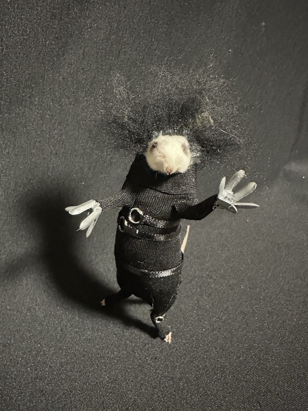 Taxidermy Mouse Edward Scissorhands Mouse Oddities Curiosities Taxidermy Art