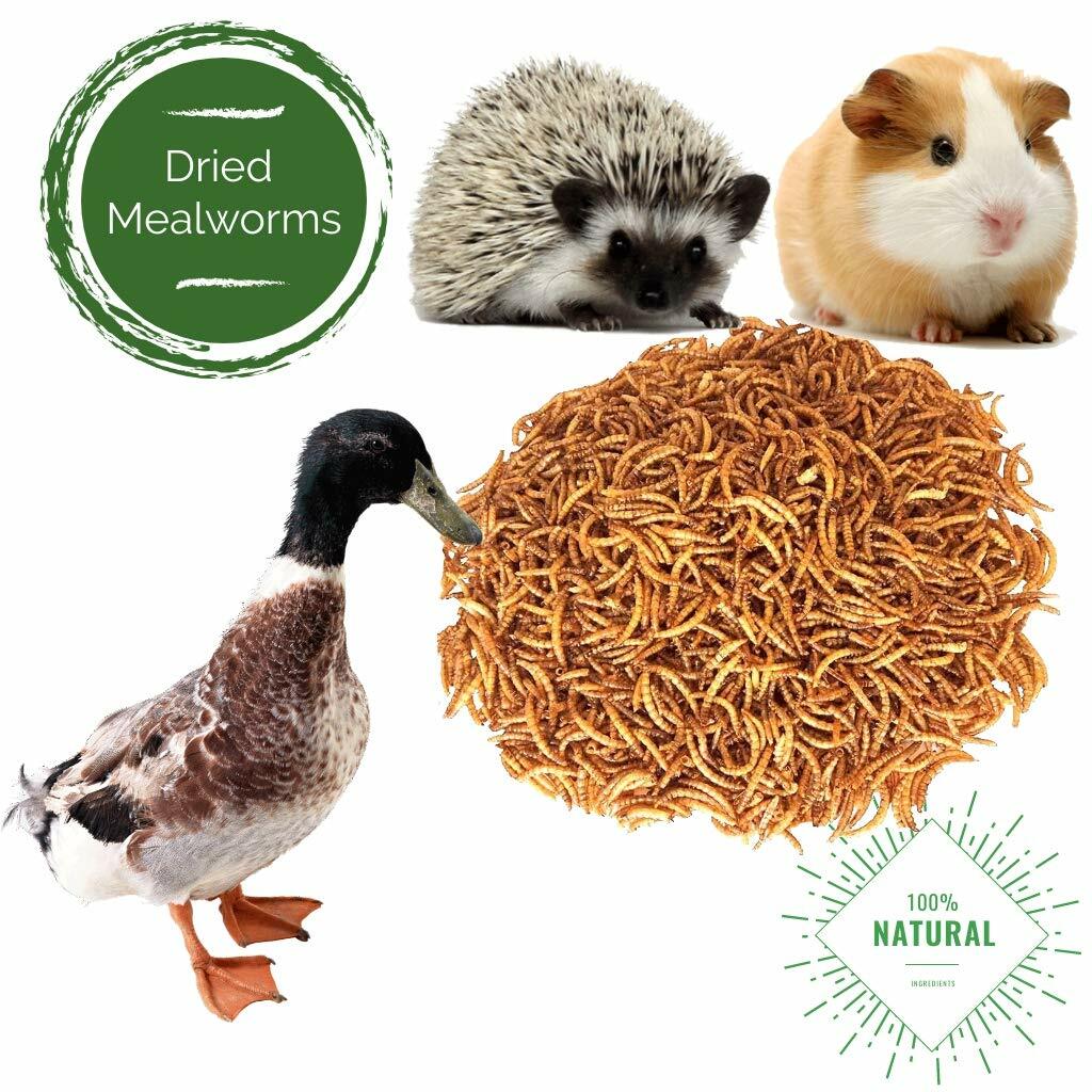 20 lbs Bulk Dried Mealworms NON GMO Organic For Fish Bluebirds Chickens Gliders