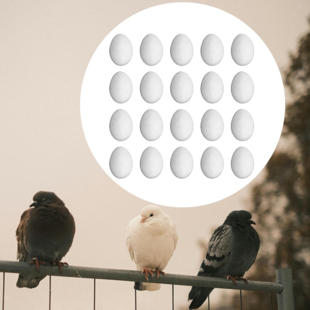 20 Pieces Solid Plastic Simulation Pigeon Eggs for Birds to Stop Laying Eggs