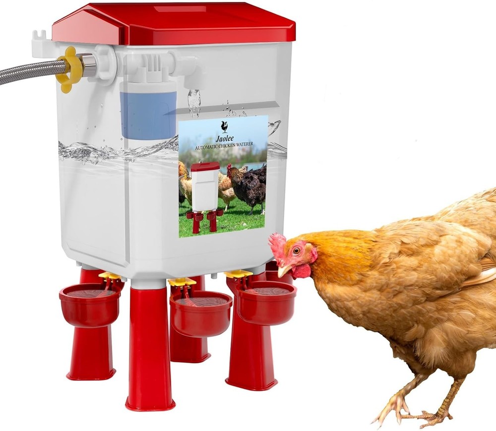 Automatic Chicken Waterer Large Chicken Waterer System Pou