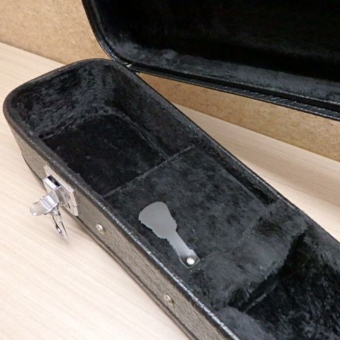 Aria AM-20 Mandolin with case Aria
