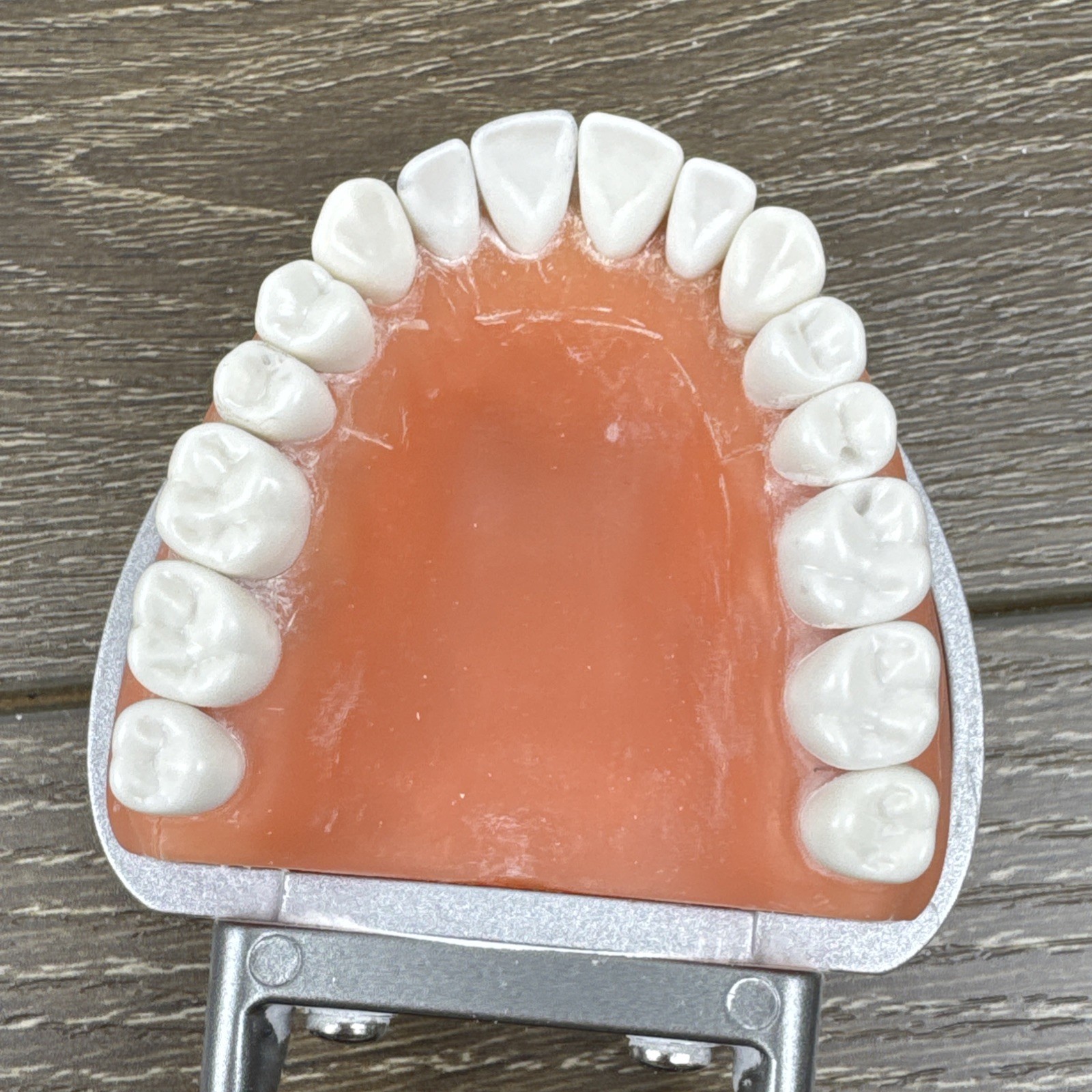 Acadental ModuPRO MP_R320 Restoration Typodont & Case WREB CDCA ADEX Teeth #54