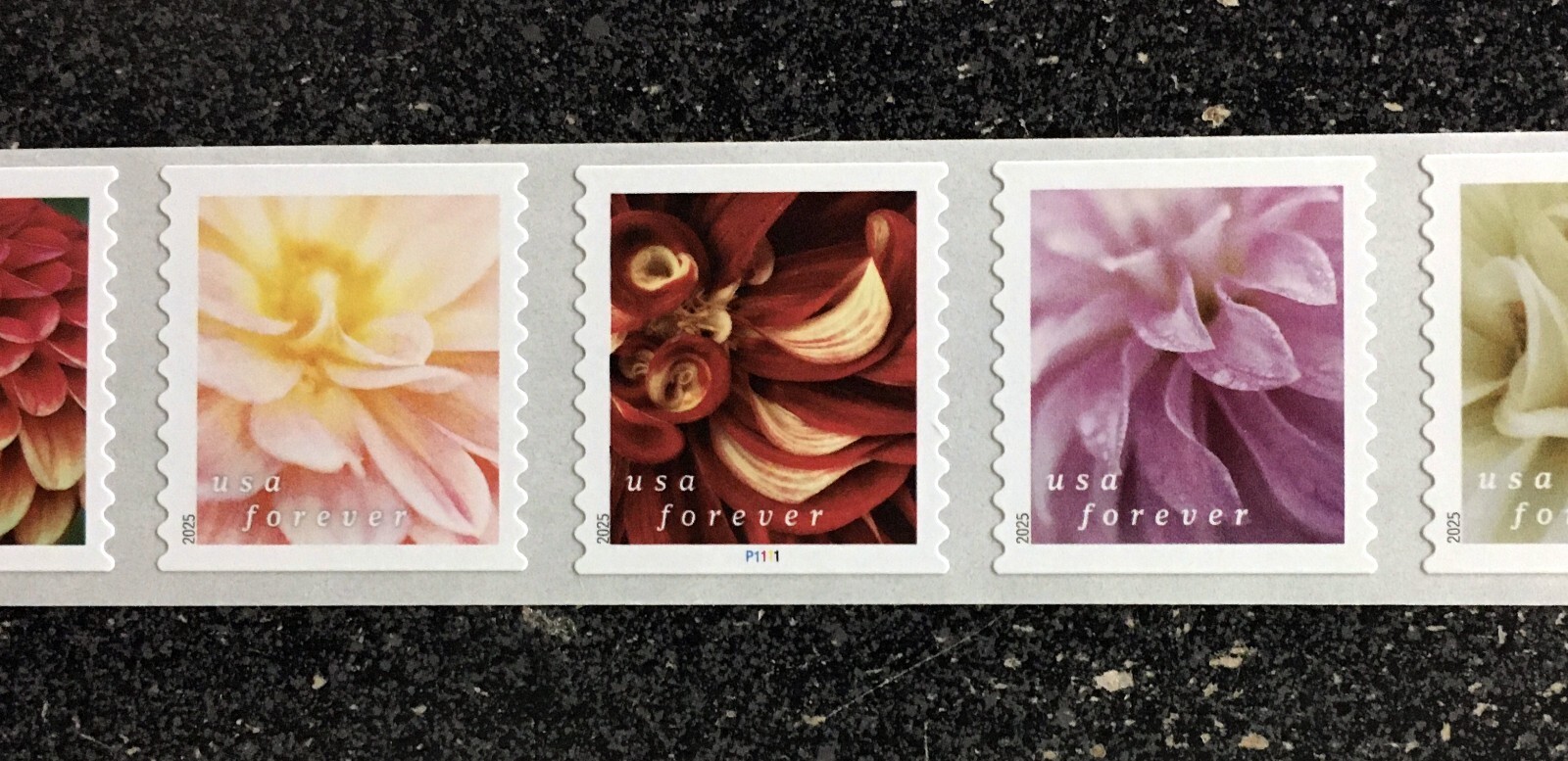 2025USA Forever Dahlias - Plate Number PNC Coil Strip 10 Mint