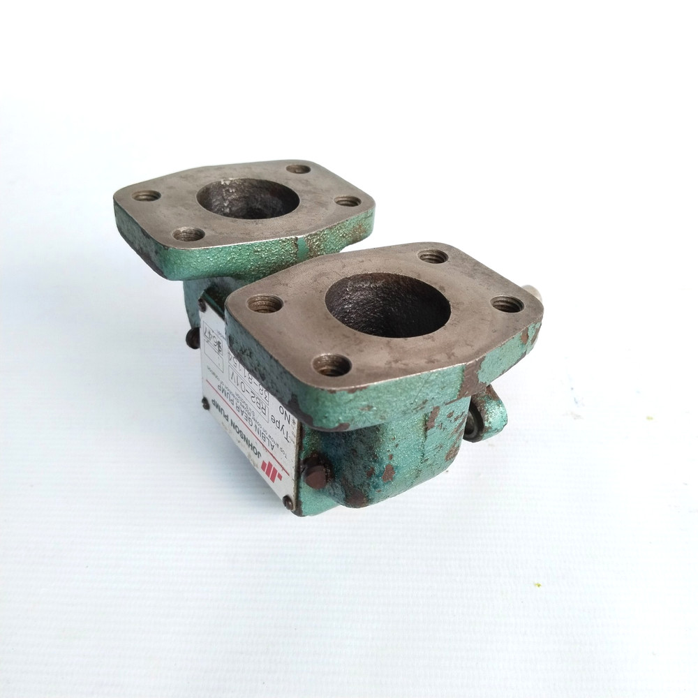 JOHNSON RB2-01V Albin Gear Pump