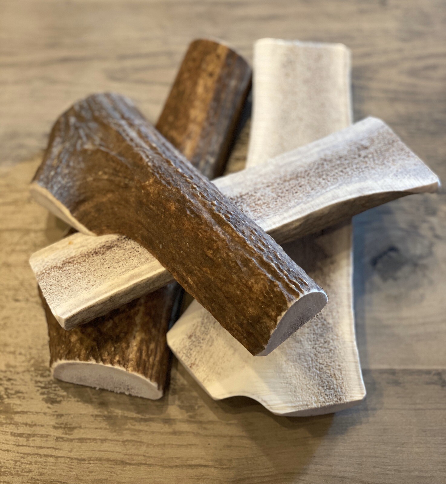 One JUMBO ~ Split Elk Antler ~ Premium Dog Chew (1pc) **OREGON ANTLER WORKS**