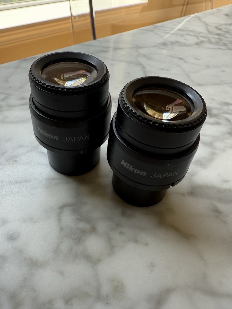 Pair Nikon Eclipse 80i 90i Microscope Eyepiece Occulars CFI 10x/22